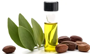 Jojoba oiljpg jpg jpeg