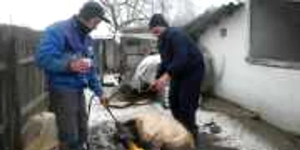 Gheorghiţă Dinu vrea să respecte tradiţia şi închină un pahar  în timp ce pârleşte pocrul