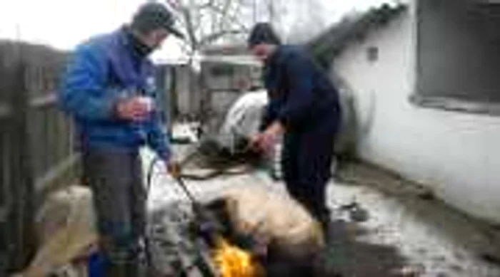 Gheorghiţă Dinu vrea să respecte tradiţia şi închină un pahar  în timp ce pârleşte pocrul