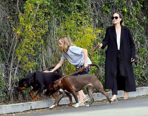 6 angelina jolie si vivienne in la 3 jpg jpeg