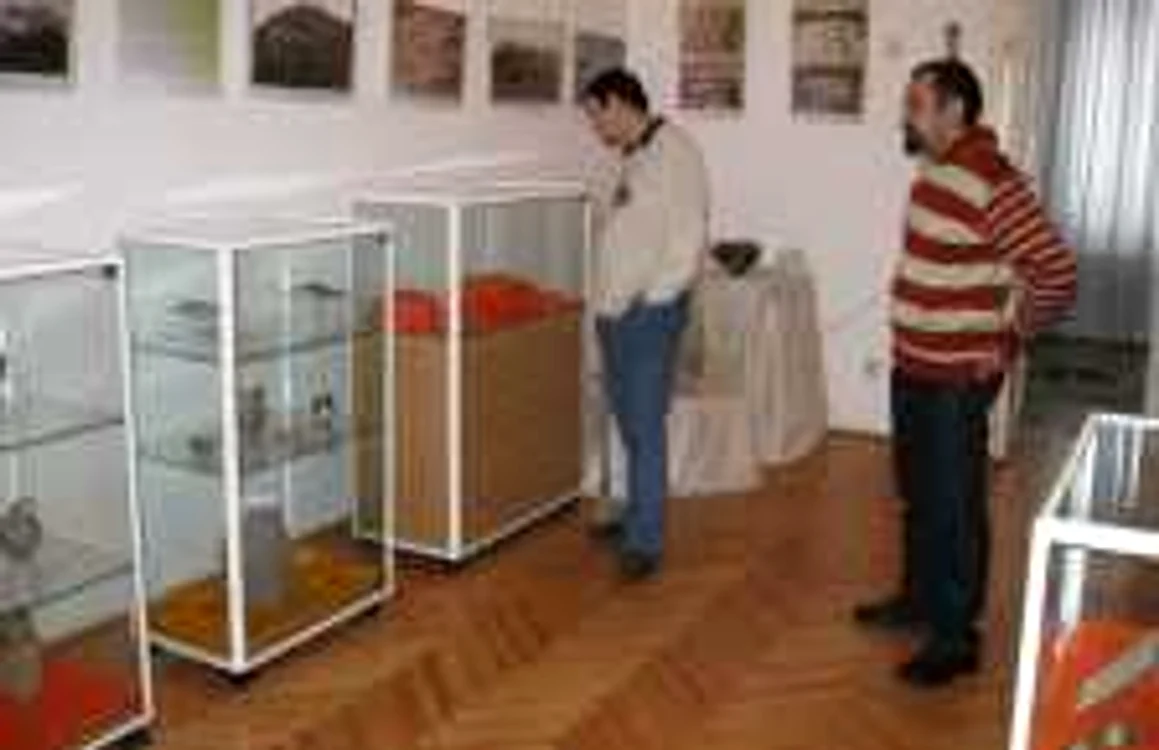Primii vizitatori au apărut la expoziţie