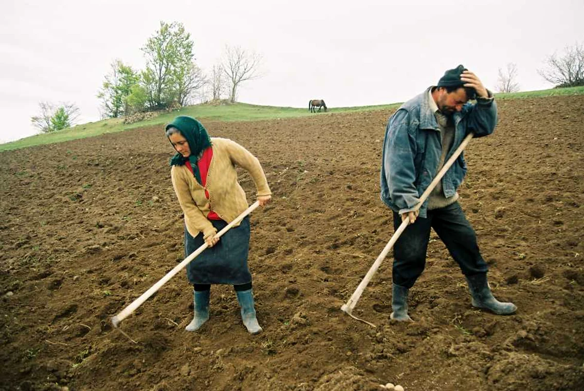 Agricultura este baza economiei Republicii Moldova