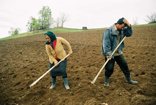 Agricultura este baza economiei Republicii Moldova
