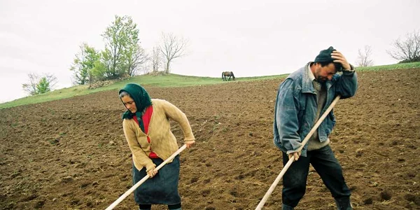 Agricultura este baza economiei Republicii Moldova