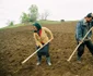Agricultura este baza economiei Republicii Moldova