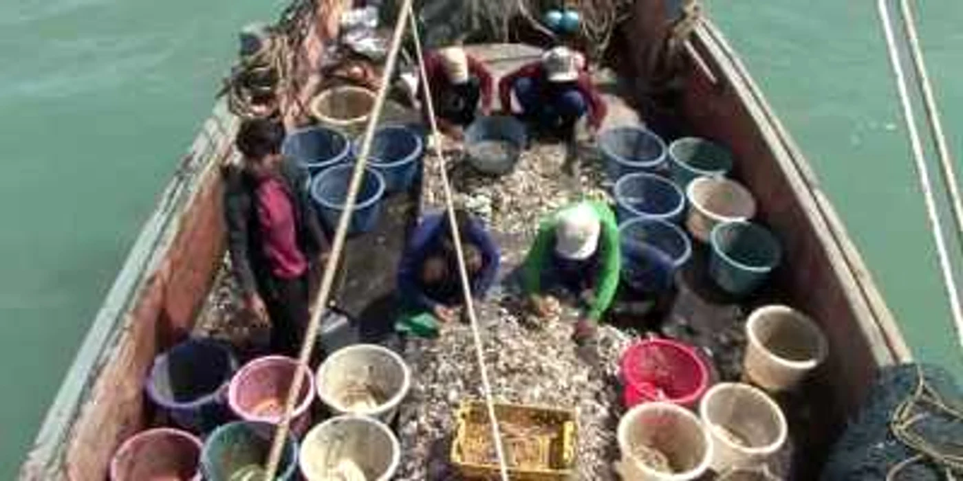 Condiţiile de muncă din industria pescuitului reprezintă o mare provocare atât pentru ţările dezvoltate, cât şi pentru cele aflate în curs  FOTO captură YouTube