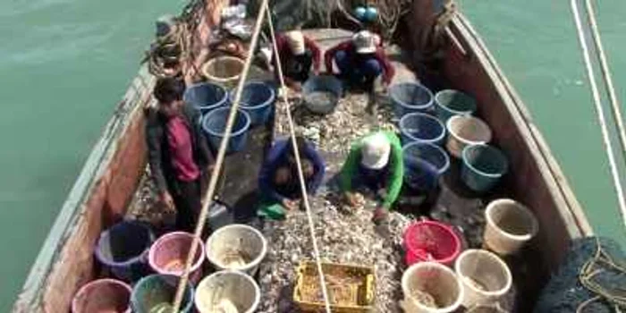Condiţiile de muncă din industria pescuitului reprezintă o mare provocare atât pentru ţările dezvoltate, cât şi pentru cele aflate în curs  FOTO captură YouTube