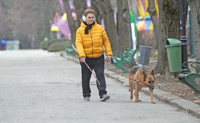 Interpreta se plimbă pe lac și în anotimpul rece