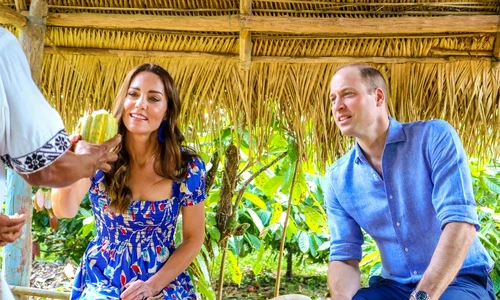 1 profimedia 0672176755 jpg jpeg