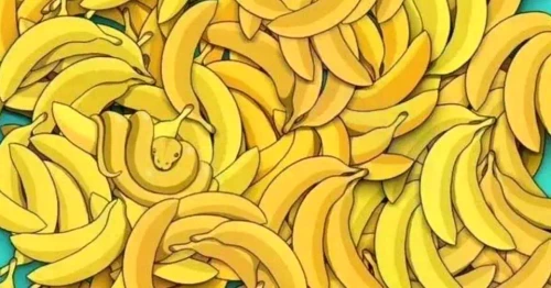 Poți ghici animalul ascuns printre banane?