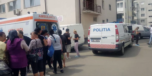 crima strada armoniei foto PTV Oltenia jpg