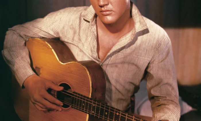 elvis83 jpg