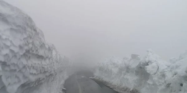 transalpina