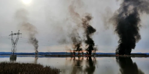 Malurile Oltului mistuite de flăcări pe 20 de hectare la Băbeni Vâlcea Foto Adevărul