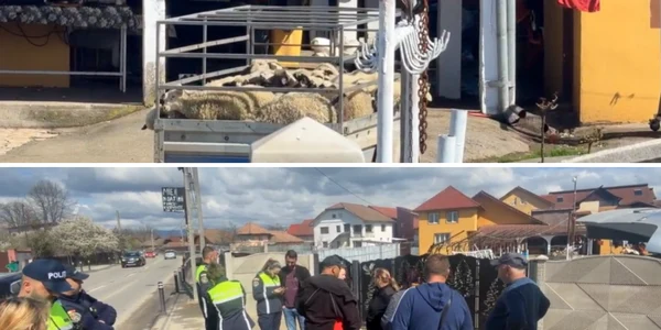 politistii din targu jiu, sesizati dupa ce mai multe persoane sacrificau miei in strada foto captura video facebook tv sud png