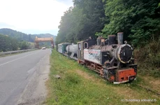 Orașul Câmpeni din Alba  Foto Daniel Guță ADEVĂRUL (6) jpg