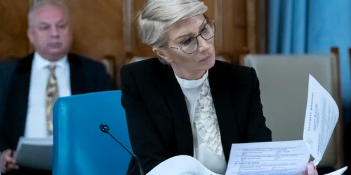 Raluca Turcan FOTO gov.ro