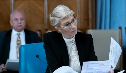 Raluca Turcan este principala inițiatoare la proiectului de lege FOTO Gov.ro