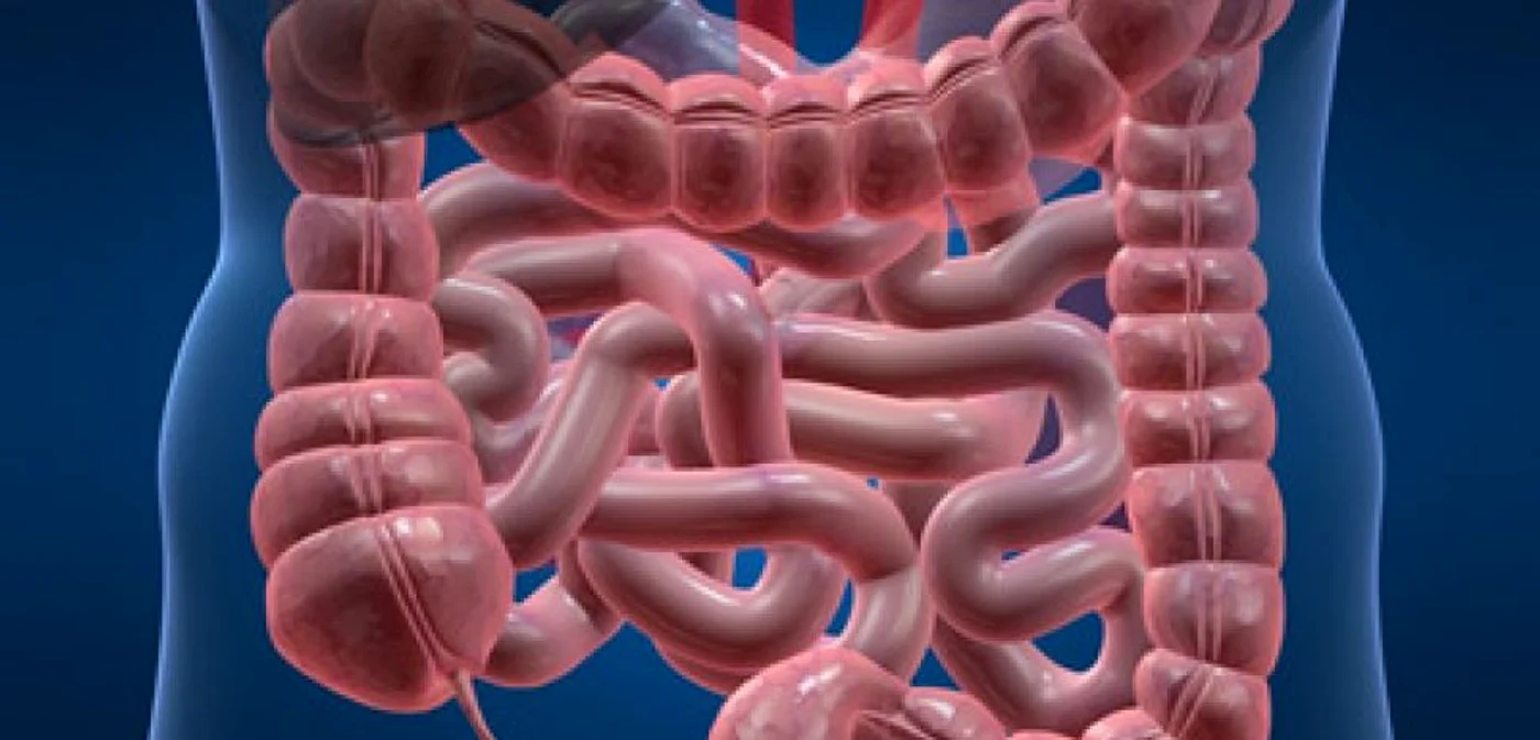 Numărul scăzut al bacteriilor intestinale influenţează greutatea corporală FOTO Shutterstock