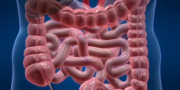 Colonoscopia de screening reprezintă investigarea vizuală a intestinului gros înaintea apariţiei cancerului