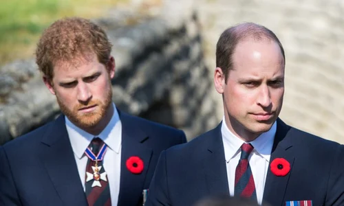 printul harry si printul william