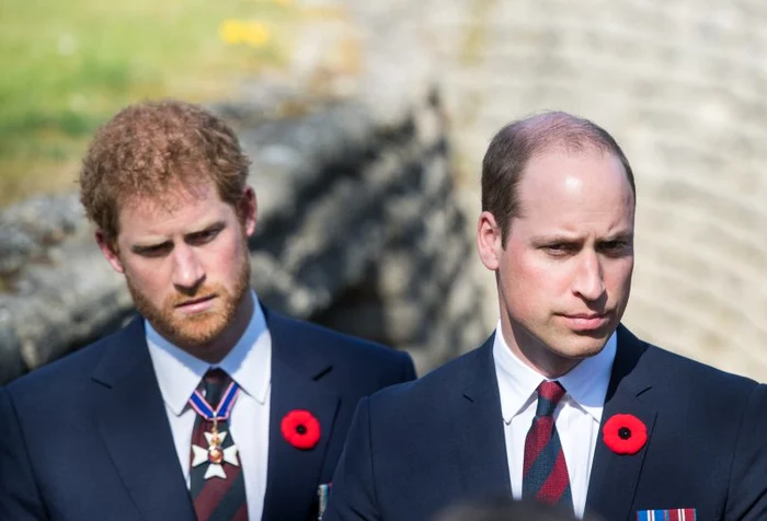 Relația dintre prințul William și prințul Harry este una tensionată