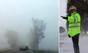 CEata FOTO FB Politia Romana jpg