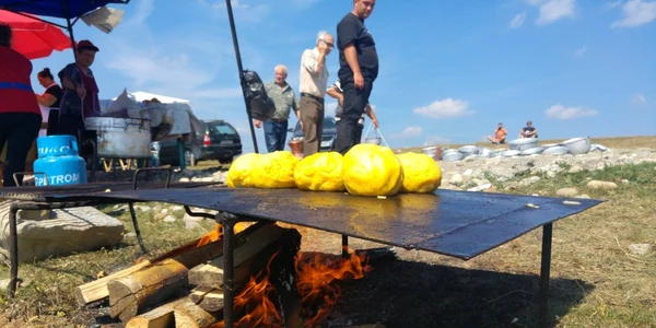 ravasit runcu
