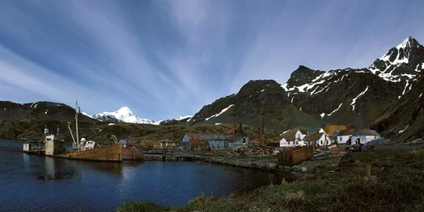 kotelny