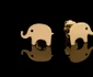 Cercei elefant jpeg