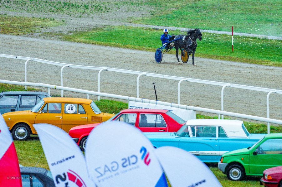 Cai și cai-putere. Curse la Hipodromul Ploieşti, pentru pasionaţii de automobile de epocă