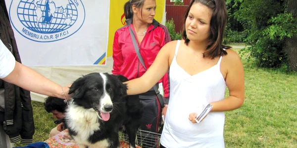 Alexandra a decis să adopte un câine comunitar în locul unuia de rasă