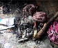 incendiu bistrita copii 1