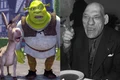 Shrek și Maurice Tillet jpg