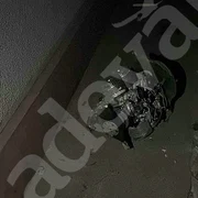 Adevarul drona watermark 2 png