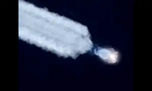 meduza gif gif