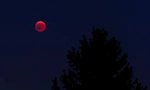 moon 3605437 1280 jpg