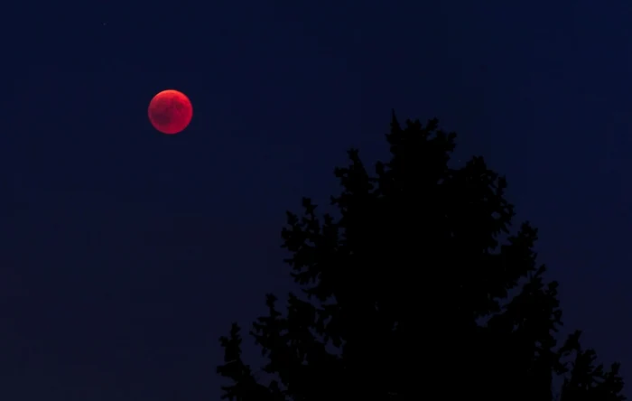 Luna Sângerie. Foto: Pixabay