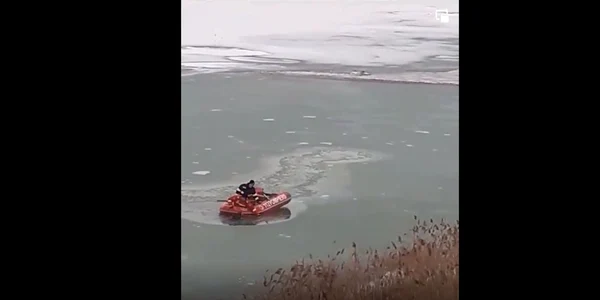 caine salvat de la inec Bacau FOTO captura video