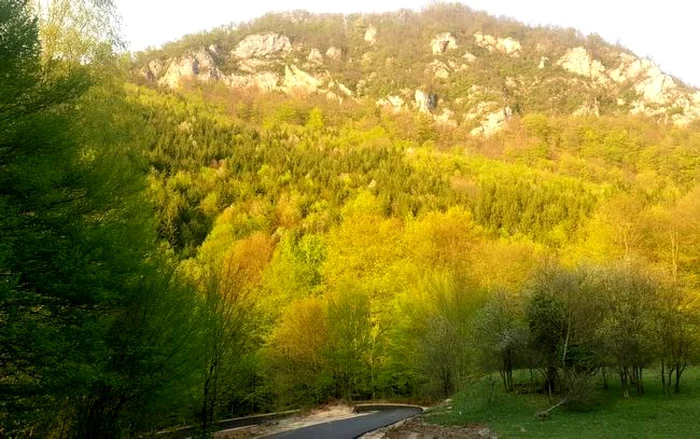 piatra rosie