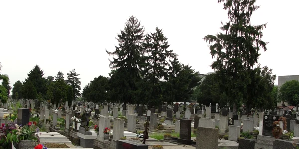Cimitirul va fi adminsitrat de municipalitate