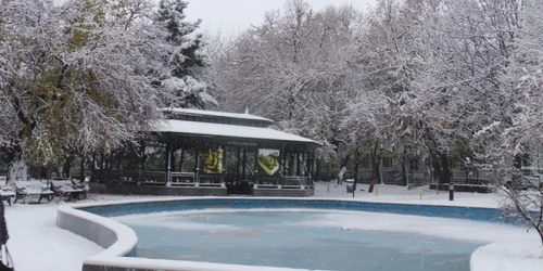 iarna focsani