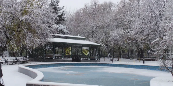 iarna focsani