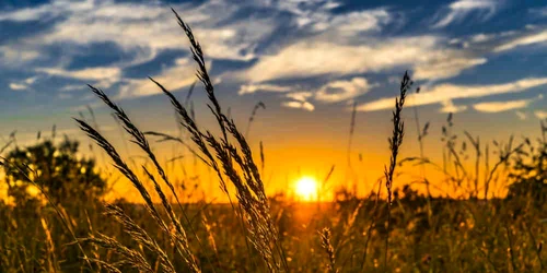 Vara din septembrie debutează cu temperaturi de până la 32 de grade Celsius jpeg
