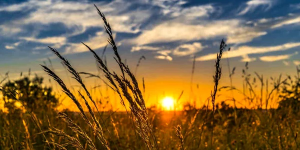Vara din septembrie debutează cu temperaturi de până la 32 de grade Celsius  jpeg