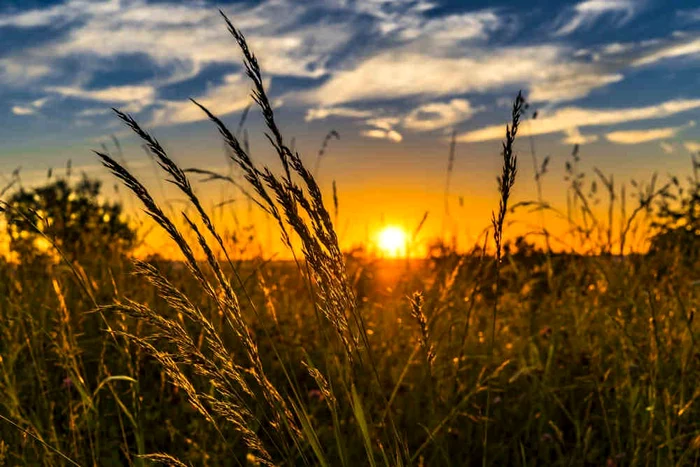 1 aprilie vine cu temperaturi de vară, foto arhivă