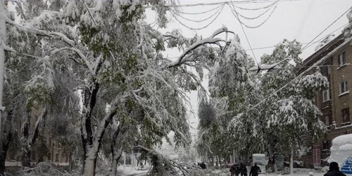 ninsori chisinau foto victor ciobanu via facebook