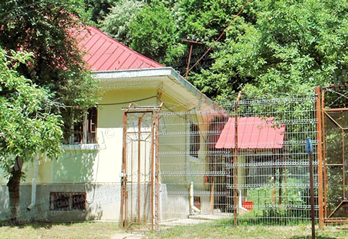 Ieşeanca a fost transferată  la Spitalul de Psihiatrie  Pădureni-Grajduri