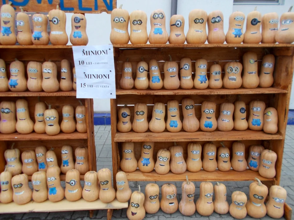 calarasi dovleci