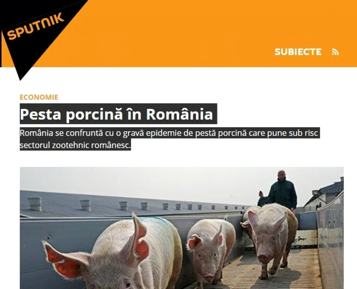 Dosarul „Pesta porcină în România“ de pe Sputnik cu 59 de articole